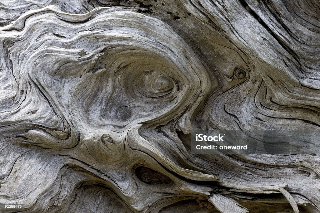 Сплавной лесоматериал рисунок - Стоковые фото Сплавной лесоматериал роялти-фри