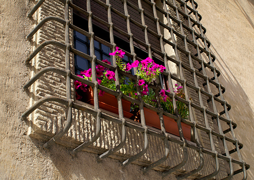 The outside of a french window with shutters and plant pots on the windowsill in Castelferrus, France.