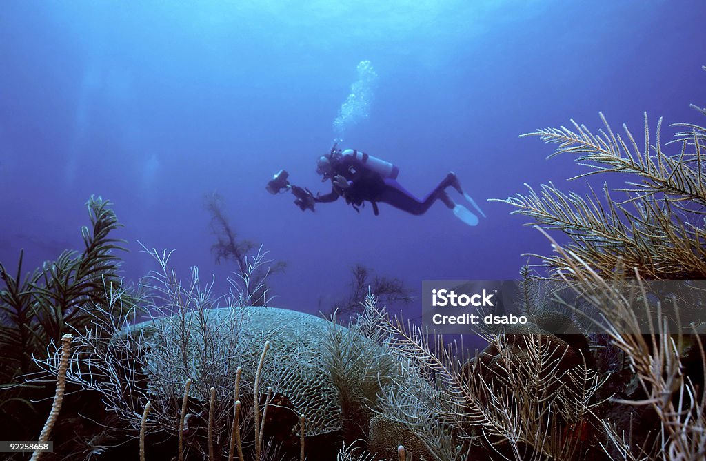 Subaquático fotógrafo crusing - Royalty-free Canouan Foto de stock