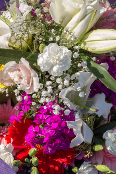 istock Amazing colorful Spring flowers in nature 922586940