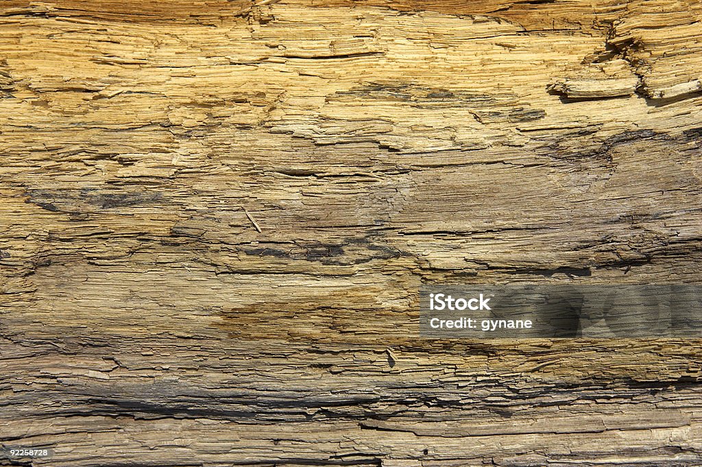 Driftwood detalhe de - Royalty-free Exposto ao Ar Foto de stock