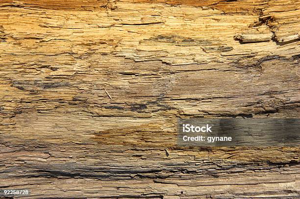 Driftwood Detalhe De - Fotografias de stock e mais imagens de Exposto ao Ar - Exposto ao Ar, Fotografia - Imagem, Horizontal