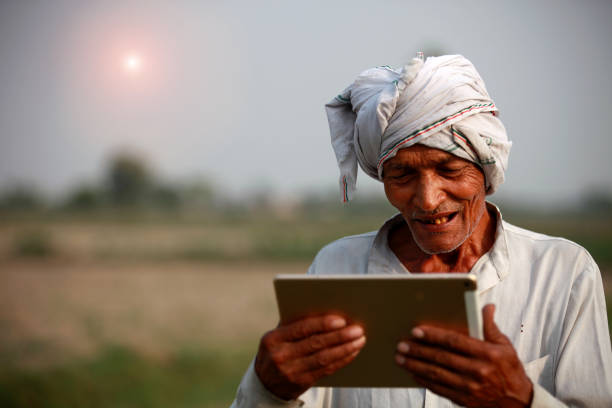 istock Cheerful farmer holding digital tablet near green field 922593828