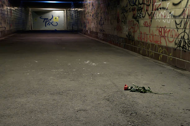 istock Abandoned rose in underpass with variegated graffiti on the wall. 92259788