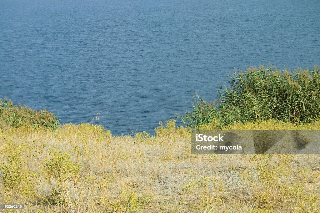 À beira do lago - Foto de stock de Arbusto royalty-free