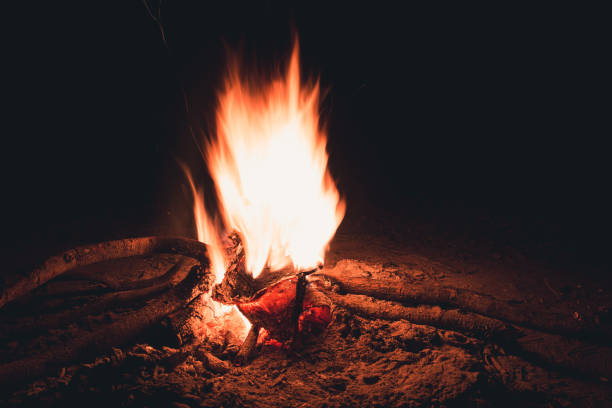 istock bonfire with fire on dry wood on ground 922604116