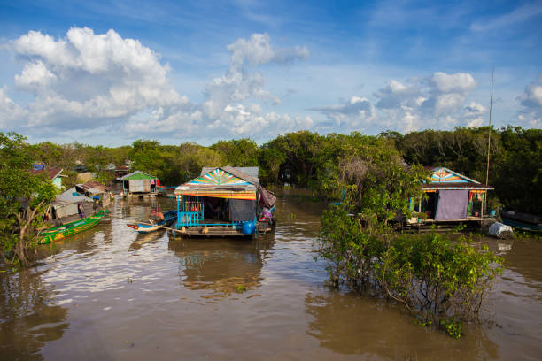 istock living building on river with tree in river in cambodia 922604632