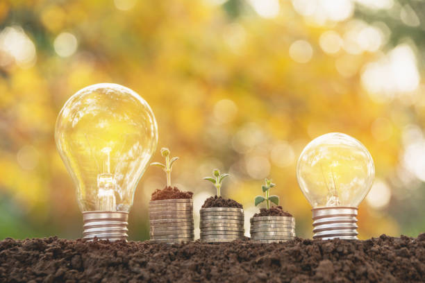istock Energy saving light bulb and tree growing on stacks of coins on nature background. Saving, accounting and financial concept. 922606898