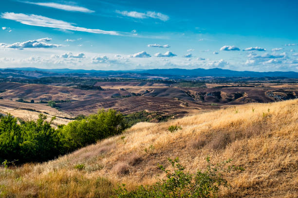 istock Summer landscape near Asciano 922610734