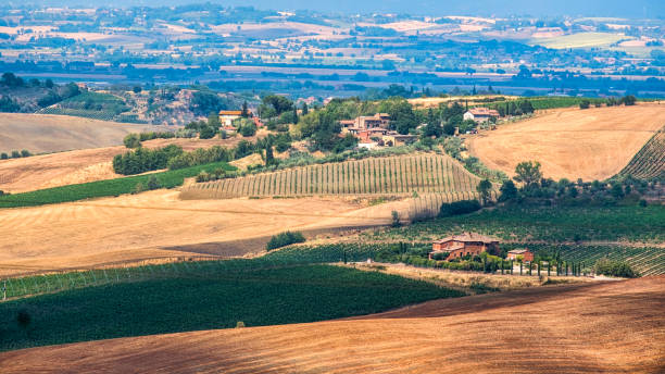 istock Summer landscape near Montepulciano 922611282
