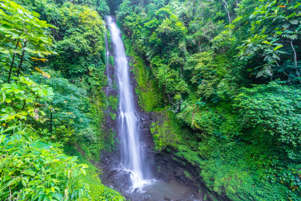 istock Mayong  Waterfall and Blahmantung Waterfall  bali in Indonesia 922623502