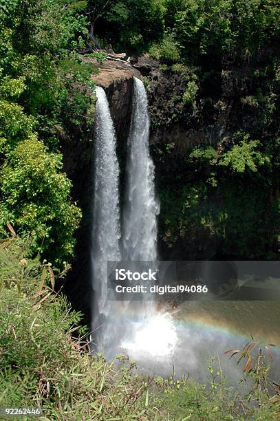 Wailua Falls Stock Photo - Download Image Now - Botany, Bush, Color Image