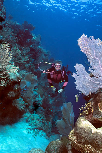 istock Woman Diver in Roatan 92262470