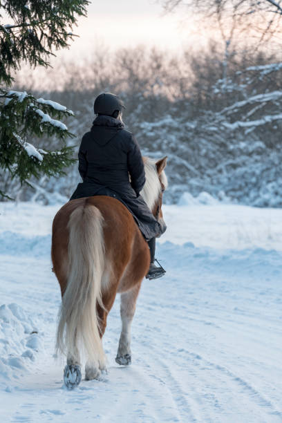 istock Woman horseback riding in winter forest 922629240