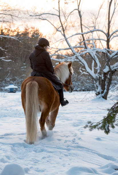 istock Woman horseback riding in winter forest 922629600