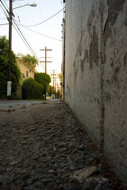 istock Alley in Los Angeles 92263070