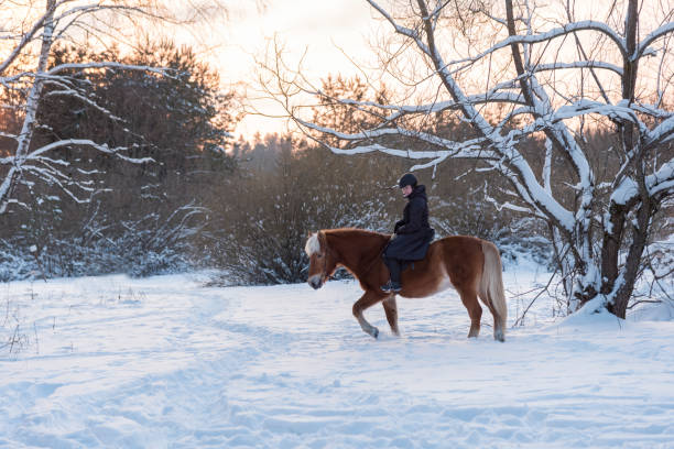 istock Woman horseback riding in winter forest 922630806