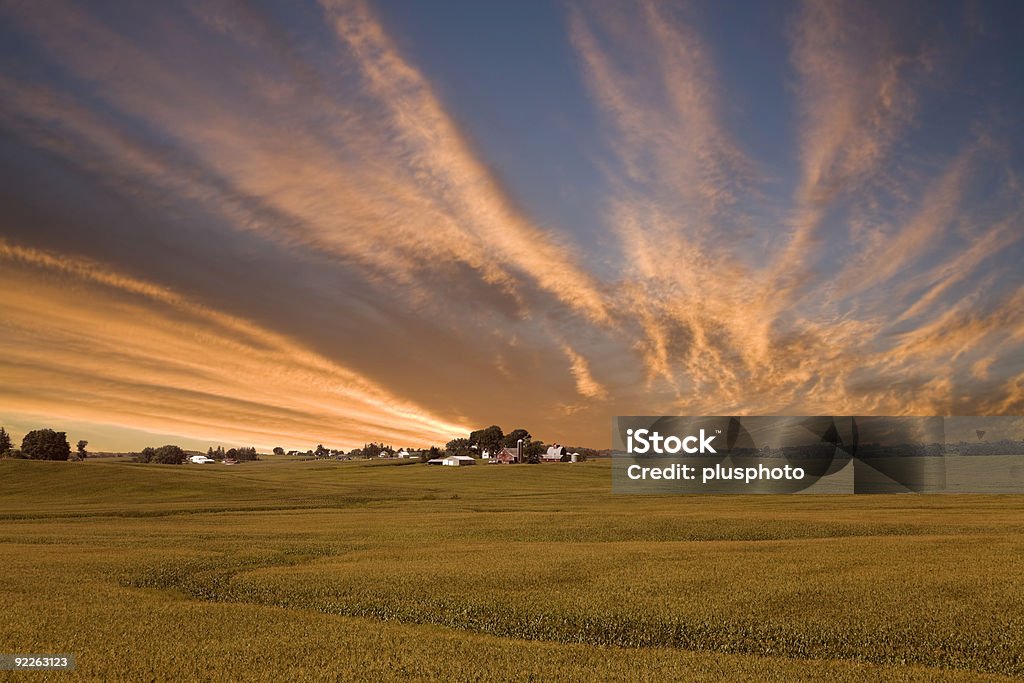 Iowa Corn Field Sonnenuntergang - Lizenzfrei Iowa Stock-Foto