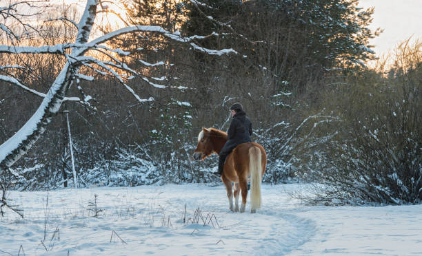 istock Woman horseback riding in winter forest 922633120