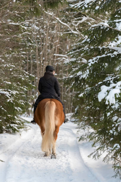 istock Woman horseback riding in winter forest 922635936