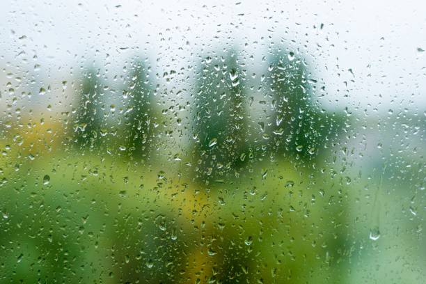Rain drops on the autumn window,  nature background