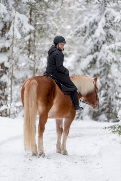 istock Woman horseback riding in winter forest 922637064