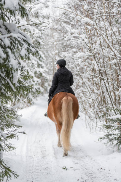 istock Woman horseback riding in winter forest 922637190
