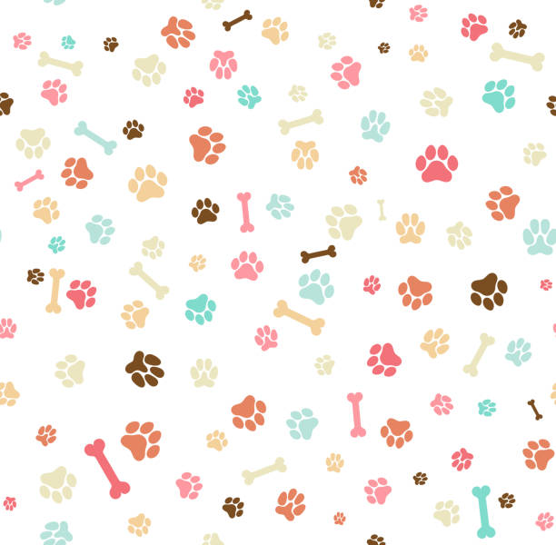 Dog paw print seamless. Template for your design, wrapping paper, card, poster, banner, flyer. Vector illustration. Isolated on white background Dog paw print seamless. Template for your design, wrapping paper, card, poster, banner, flyer. Vector illustration. Isolated on white background dogs stock illustrations
