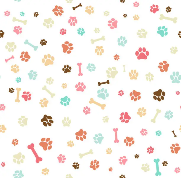 Vector illustration of Dog paw print seamless. Template for your design, wrapping paper, card, poster, banner, flyer. Vector illustration. Isolated on white background