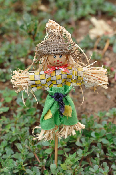 istock A scarecrow figurine standing in a garden 922639500