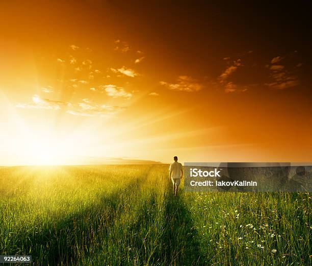 One Man And Field Of Summer Grass Stock Photo - Download Image Now - Agricultural Field, Flower, Joy