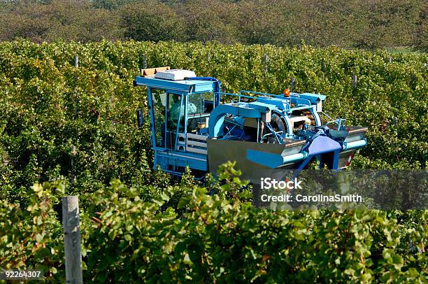 Vendemmia Meccanica - Fotografie stock e altre immagini di Azienda vinicola - Azienda vinicola, Macchinario, Vite - Flora