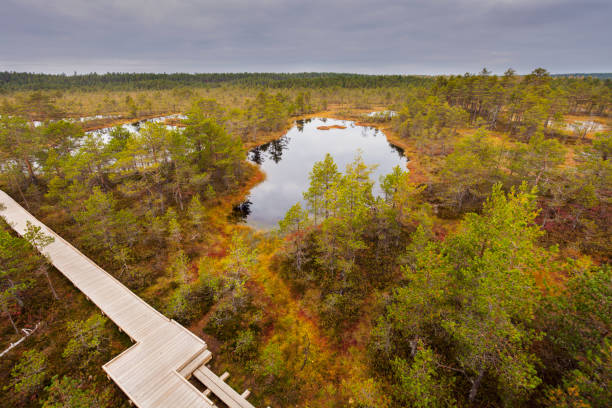 istock Lahemaa National Park in Estonia 922645668