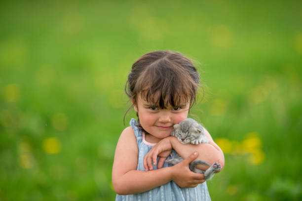 A young girl is outside on a summer day. She is standing in a farmer's field. The girl is holding a cute kitten in her arms, and smiling at the camera.