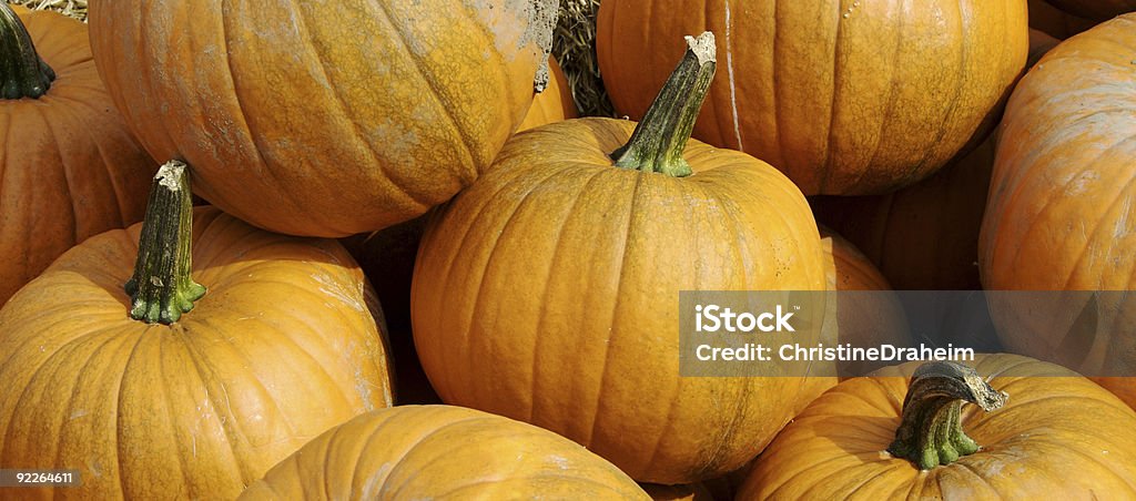 Decoration for Halloween  Autumn Stock Photo