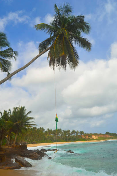 istock Palm over the Indian Ocean, Sri Lanka, Tangale 922646252