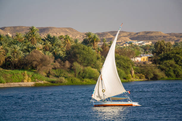 istock Felluca, A traditional Egyptian sailboat 922648634