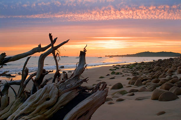 5,100+ Driftwood On The Beach At Sunset Stock Photos, Pictures