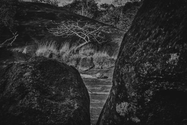 Natural landscape in Amazonian zone. Millenary rock formations and rivers