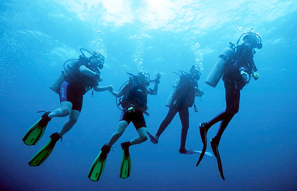 Divers Return Group of Divers returning to the dive boat scuba diving stock pictures, royalty-free photos & images