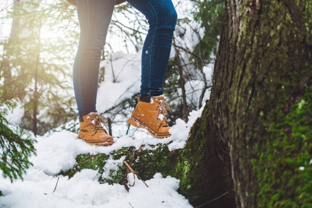 istock Tree's roots covered in a blanket of snow 922661400
