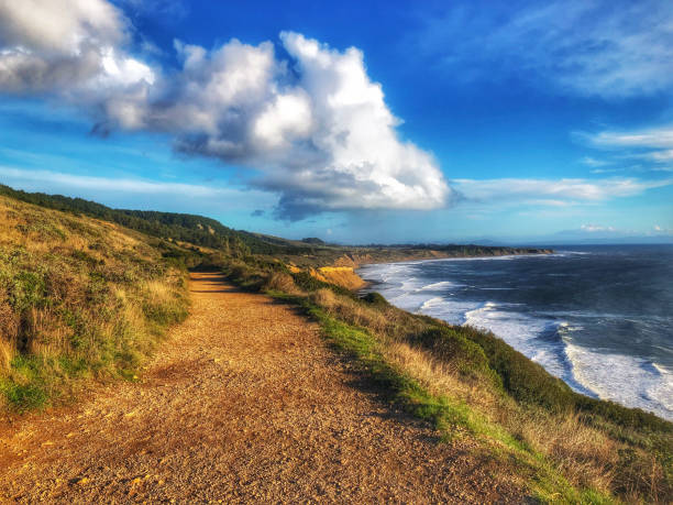 Hiking Path in Point Reyes National Seashore