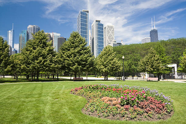 istock Flowers in Downtown Chicago 92266405