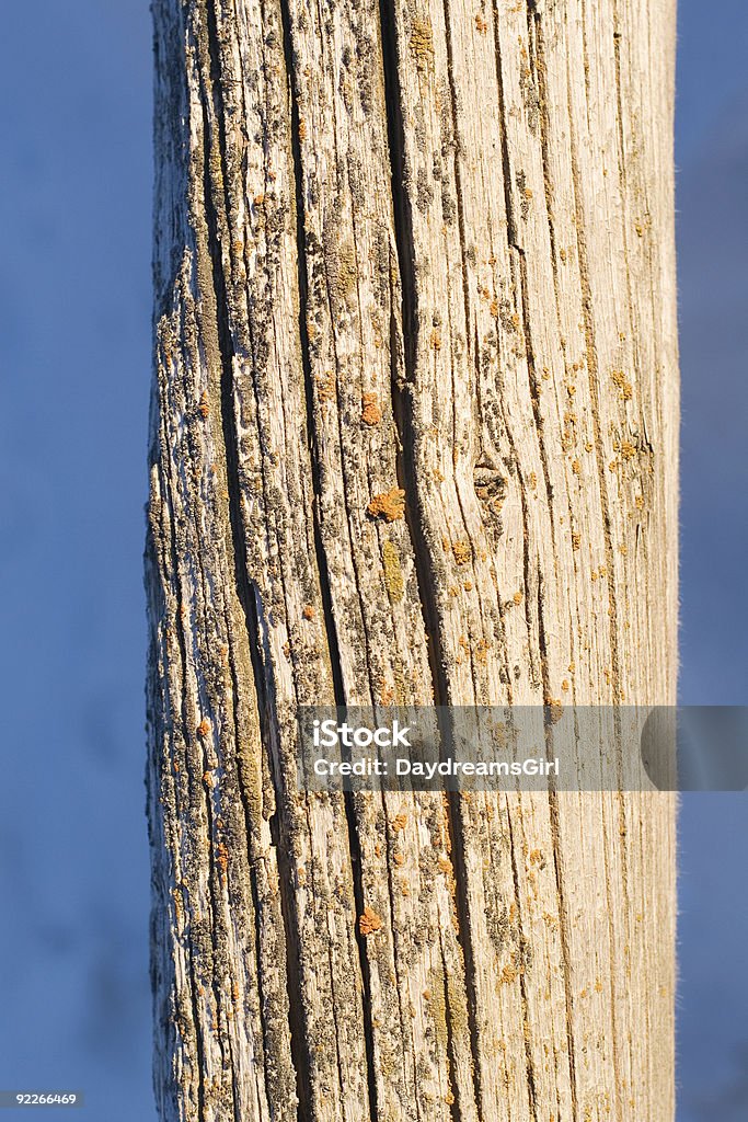 Palo di legno - Foto stock royalty-free di Ambientazione esterna
