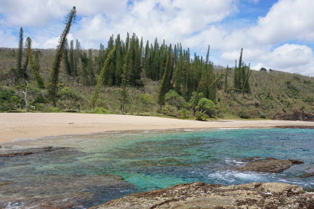 istock Coastal landscape sandy beach New Caledonia 922665970