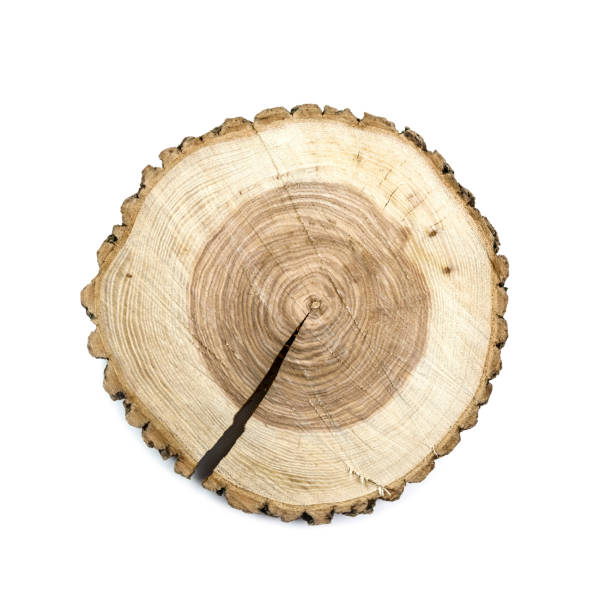 istock Round wooden cut board 922668070