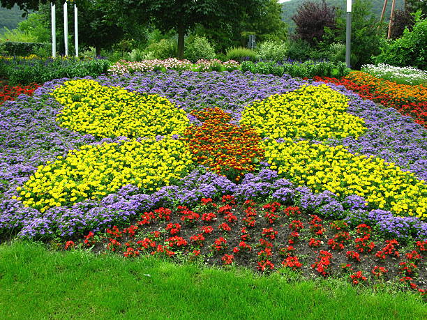 istock Beautiful Flower Butterfly 92266840