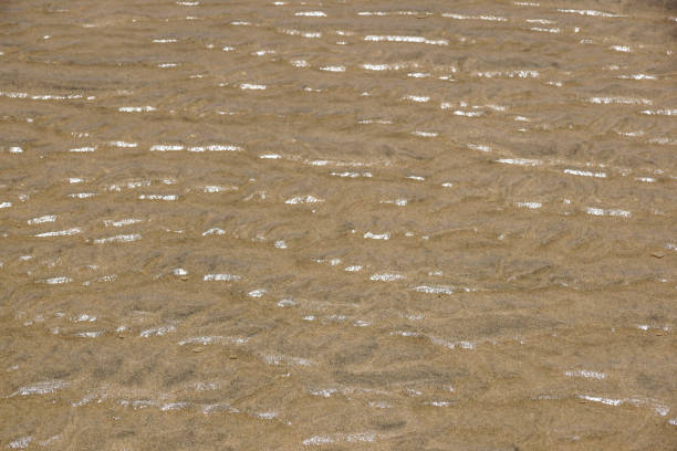 istock Soft wave of the sea on the sandy beach 922668488