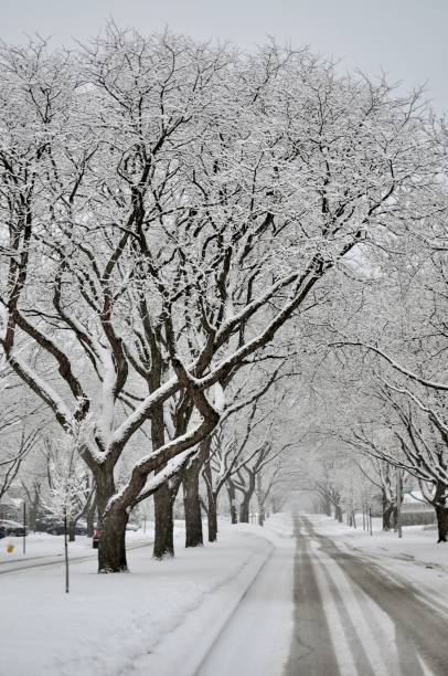 istock Residential street covered with fresh snow during a blizzard. 922668614