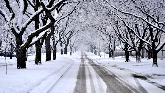 Residential street covered with fresh snow during a blizzard.